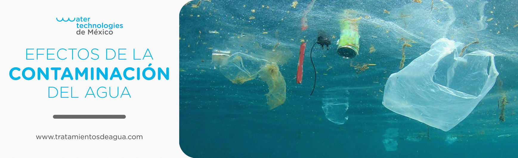 Efectos de la Contaminación del Agua